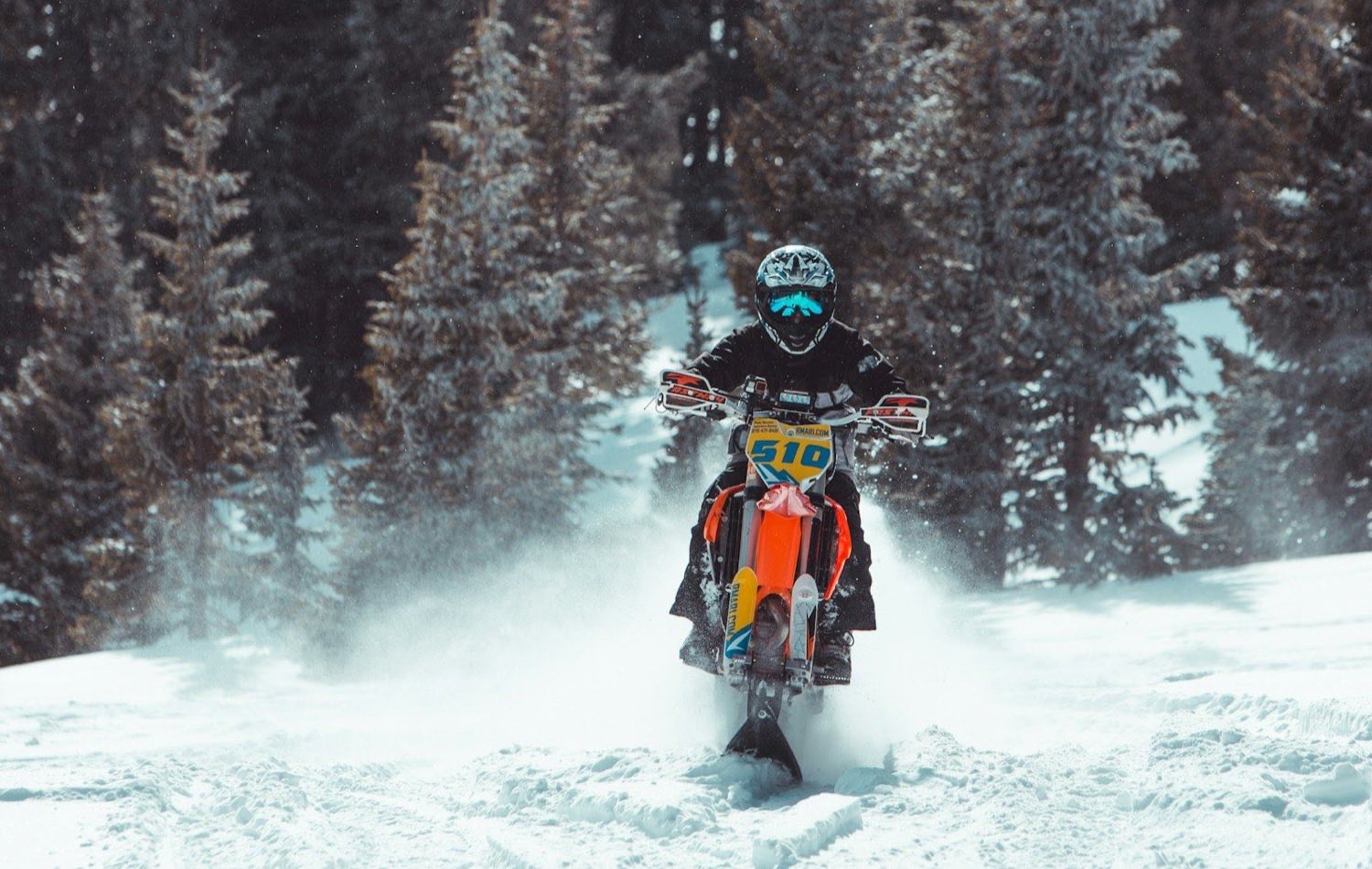 Snow bike riding through a snowy conifer forest
